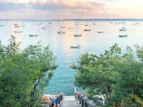 Charmante villa avec jardin clos, à 100m du Bassin d'Arcachon, proche plages et commerces, Wi-Fi - FR-1-736-47